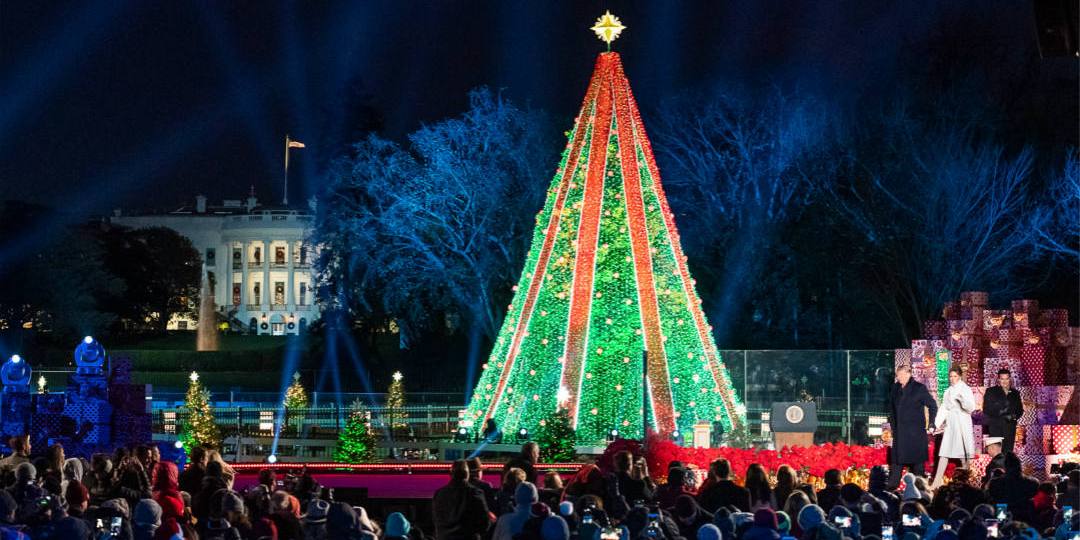 北卡州立大学与美国总统家圣诞树的故事